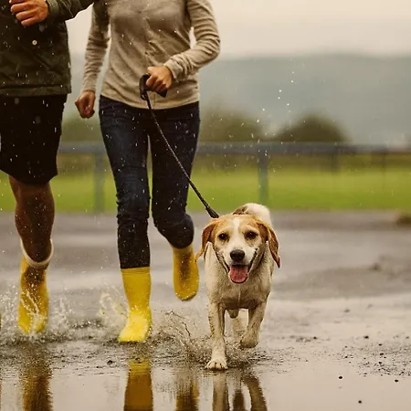 Διαμέρισμα Bps #2 Business Horb am Neckar