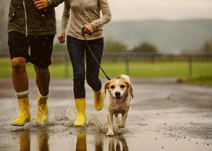 Lägenhet Bps #2 Business Horb am Neckar