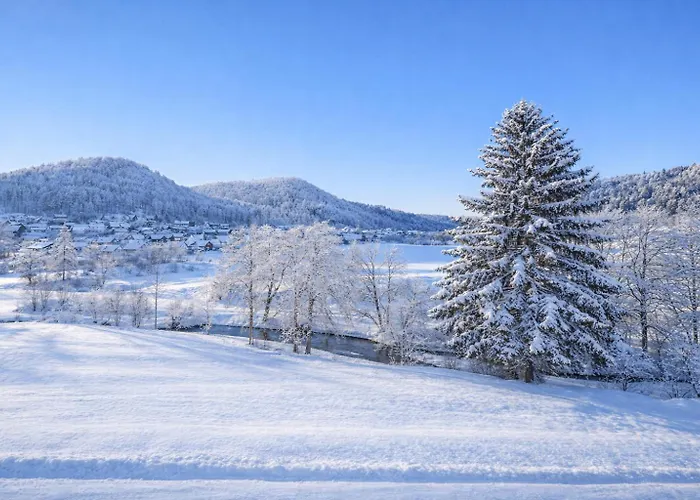 Bps #2 Business * Horb am Neckar